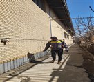 شرکت سمپاشی آرام محیط البرز - تصویر 130515