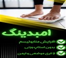 خدمات لاغری و اِمبِدینگ روشا - تصویر 130524