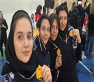 باشگاه والیبال هیوا - تصویر 135965