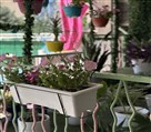 مجتمع غیردولتی دخترانه مهدیه - تصویر 136269