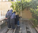 هنرستان غیردولتی تندیس فردا - تصویر 136619