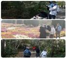 هنرستان غیردولتی تندیس فردا - تصویر 136629