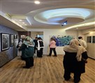 گالری هنری مه و ماهی - نمایشگاههای داخلی گالری مه وماهی