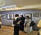 گالری هنری مه و ماهی - نمایشگاههای داخلی گالری مه وماهی