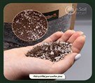 گلخانه ژینکو (ژین سویل) - تصویر 136987