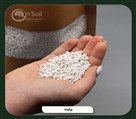 گلخانه ژینکو (ژین سویل) - تصویر 136989
