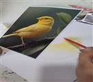 آموزشگاه هنرهای تجسمی ماها - تصویر 138718