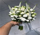 گل فروشی بلومی جهانشهر - تصویر 138957