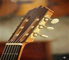 گالری موسیقی شبدیز - تصویر 139989