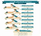 ماساژ هوم ویزیت اِوِرِست - تصویر 140385