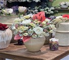 گلفروشی بلومی - تصویر 143434