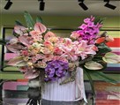 گلفروشی بلومی - تصویر 143442
