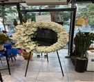 گلفروشی بلومی - تصویر 144333