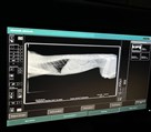 کلینیک دامپزشکی و پتشاپ دامون - تصویر 143703