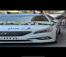 گل از حسام - تصویر 144352