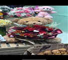 گل از حسام - تصویر 144359