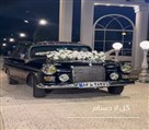 گل از حسام - تصویر 144361