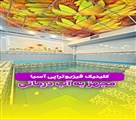 کلینیک فیزیوتراپی و آب درمانی آسیا - تصویر 129055